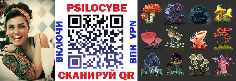 мориарти официальный сайт  Минусинск  Псилоцибиновые грибы Psilocybine cubensis  продажа наркотиков 